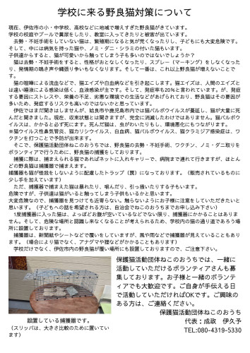 野良猫の去勢・不妊手術について.jpg