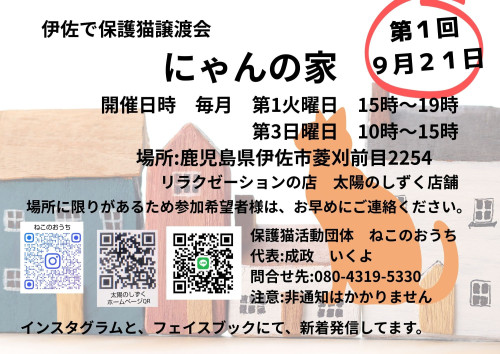 伊佐で保護猫譲渡会 にゃんの家 ９月から開催 毎月第1火曜日 15時〜19時 第3日曜日 10時〜15時 (1).jpg