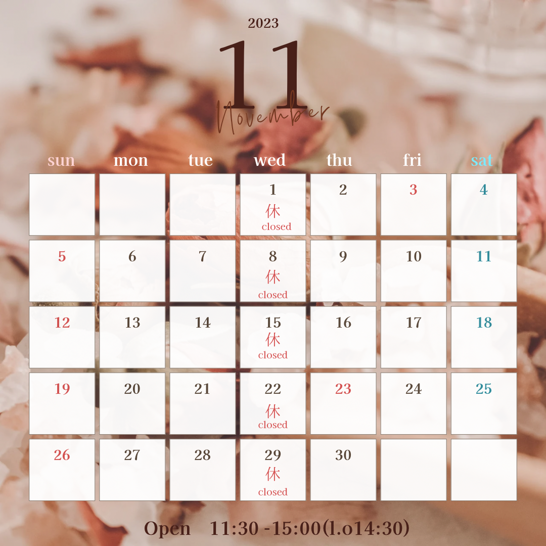 11月のスケジュール