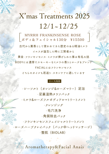 ブルー　ホワイト　水彩　クリスマス　冬のワークショップ　チラシ　A4.png
