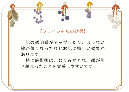 ファイシャル.png
