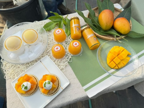 533954852_1266050678310549_2444188019641238704_n (1).jpg