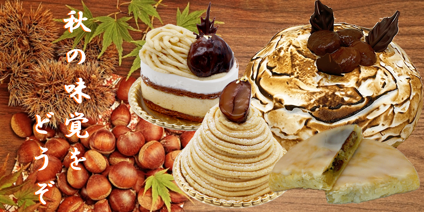 カフェ・コンディトライ・ウィーン｜オーストリア菓子工房