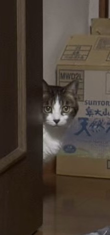 IMG_6111.jpeg