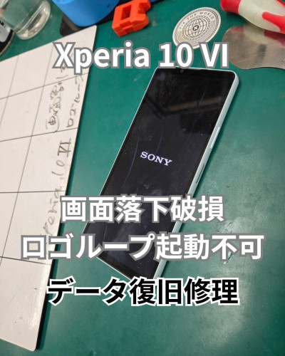 Xperia 10 Ⅵロゴループ.jpg