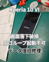 Xperia 10 Ⅵロゴループ.jpg