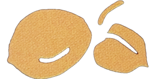 oimo.png