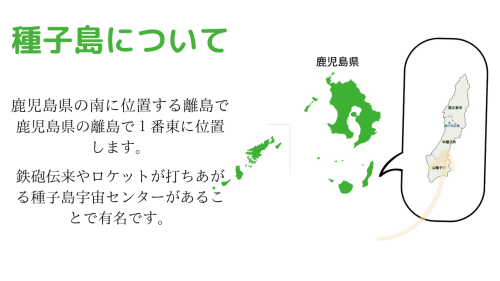 段落テキスト_w_trans.png