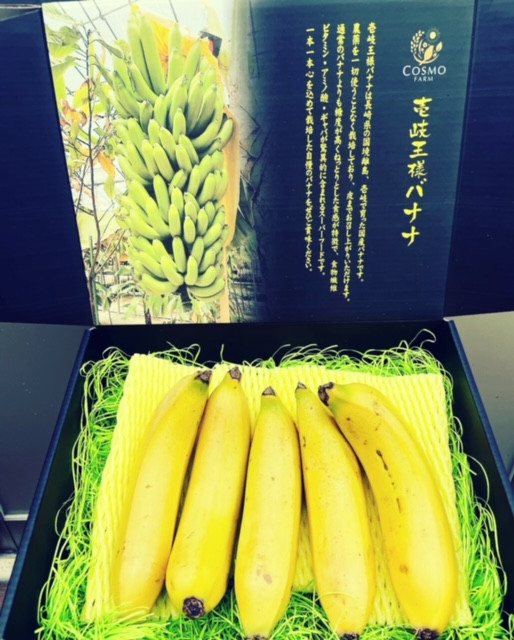 壱岐王様バナナ1kg化粧箱入り