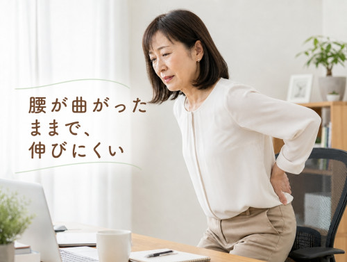 曲がってくる３.jpg