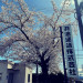 9B553D3A-42B2-4D1D-9310-09613D3829D9.jpeg