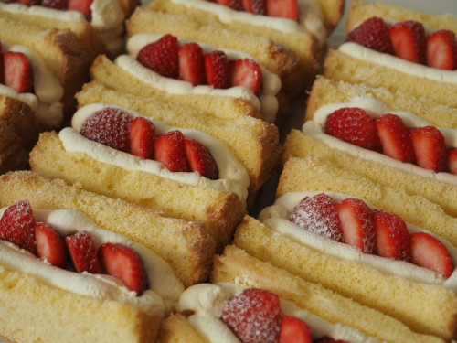 2/1(日)10:30-16:00  open