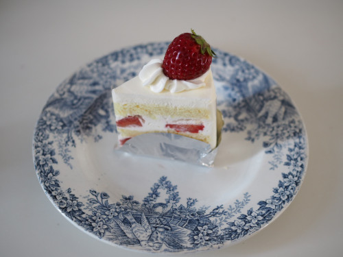 3/1(日)10:30-16:00   open