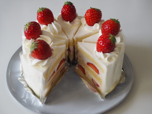 3/15(日)10:30-16:00  open