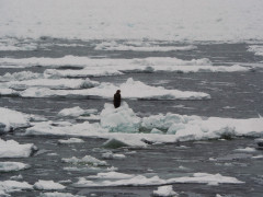 流氷.JPG