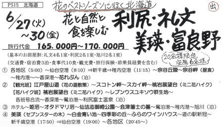 礼文島.JPG