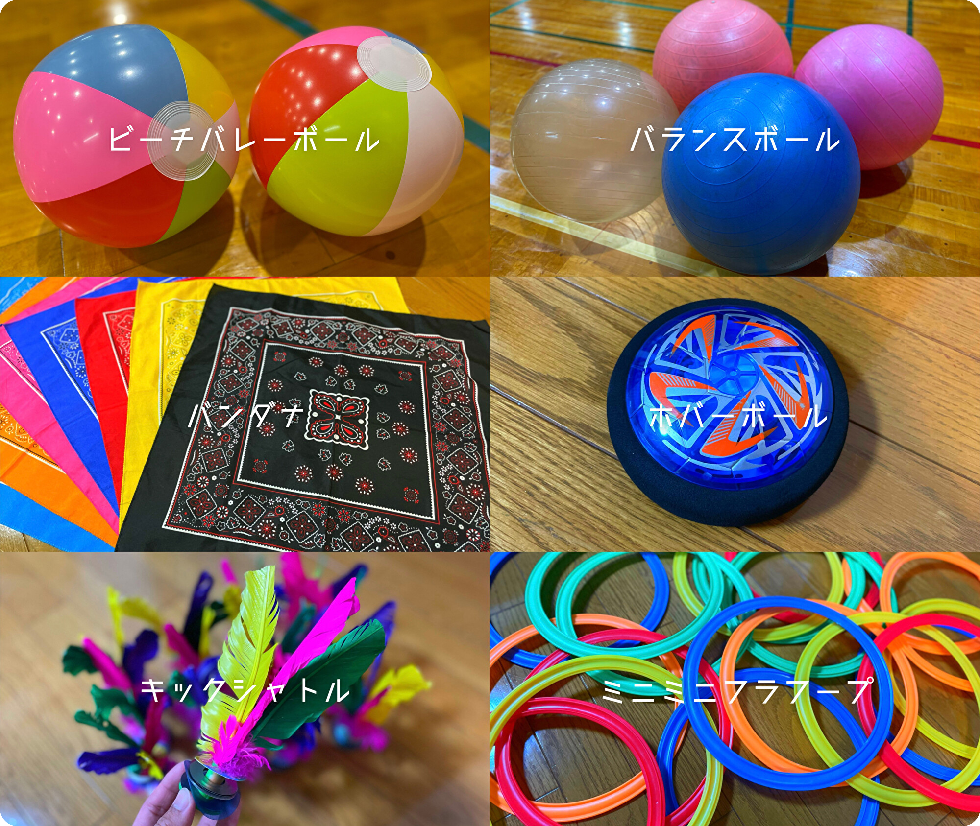 IMG_1219.PNG