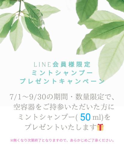 🐻LINE会員様限定ミントシャンプープレゼント🎁