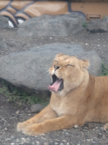DSC_9544.JPG