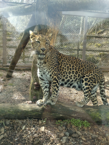 DSC_9424.JPG