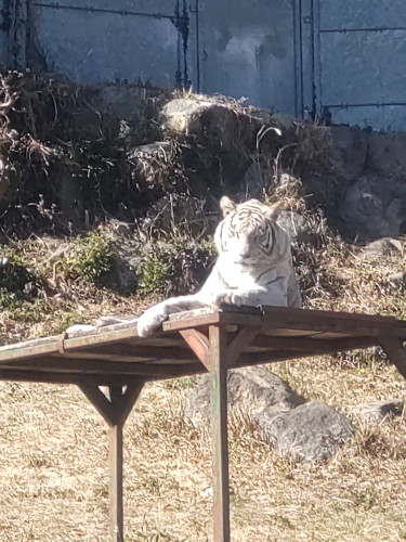 DSC_8975.JPG