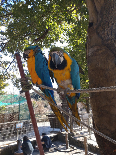 DSC_9056.JPG