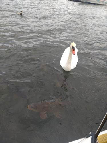 DSC_9075.JPG