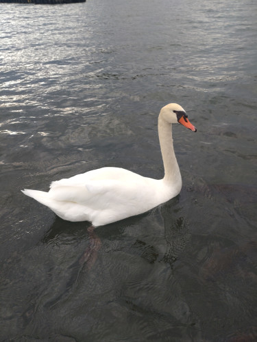 DSC_9098.JPG