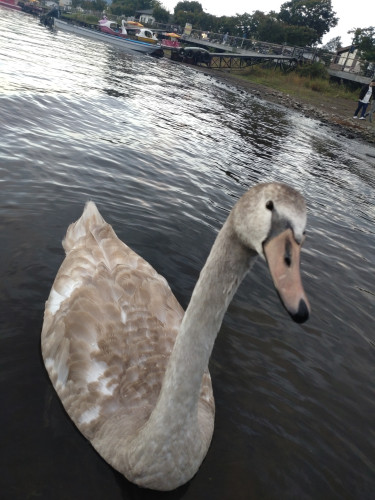 DSC_9166.JPG