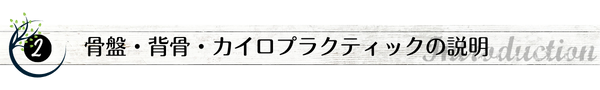 F_説明.png