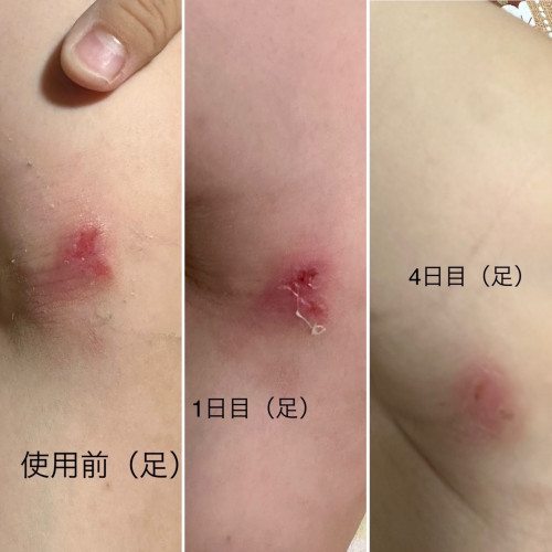 sample-12.jpg