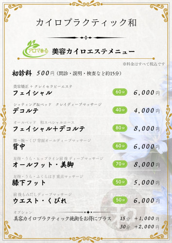 美容カイロ＆エステメニュー