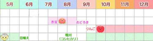 top-cal-v6777.gif