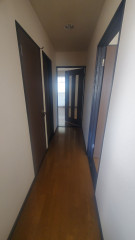 345904.jpg