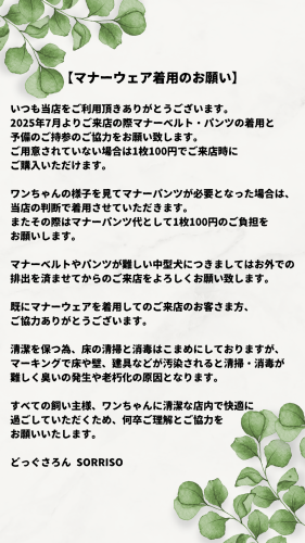 グリーン　ホワイト　ナチュラル　背景　インスタグラムストーリー.png