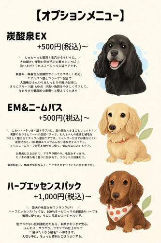オプションメニュー.jpeg