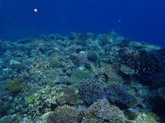 P4300096.JPG