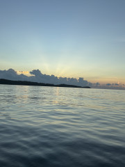 IMG_7004.jpeg