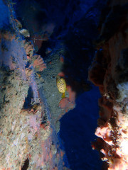 P5180005.JPG