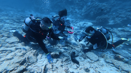 ２７２５水納島.JPG