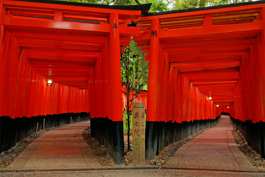 Fushimi Inari 1000torii gates