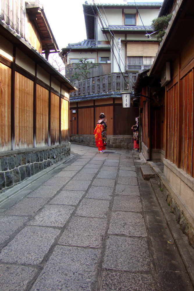 maiko apprentice entertainer