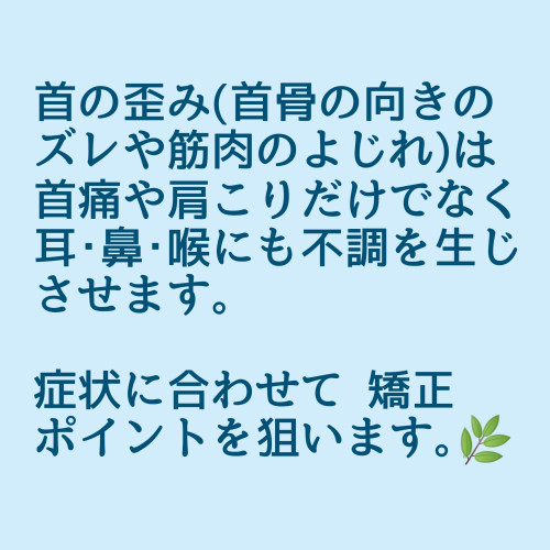 1738403993535.jpg