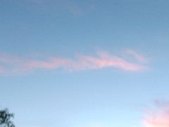 DSC_0833.JPG