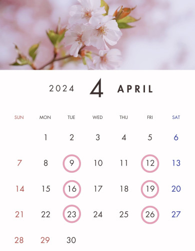 ピンク ホワイト グリーン ナチュラル 桜  2024年4月カレンダー  インスタグラム ストーリー.jpeg