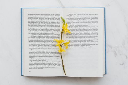 kaboompics_Book & spring flowers.jpg