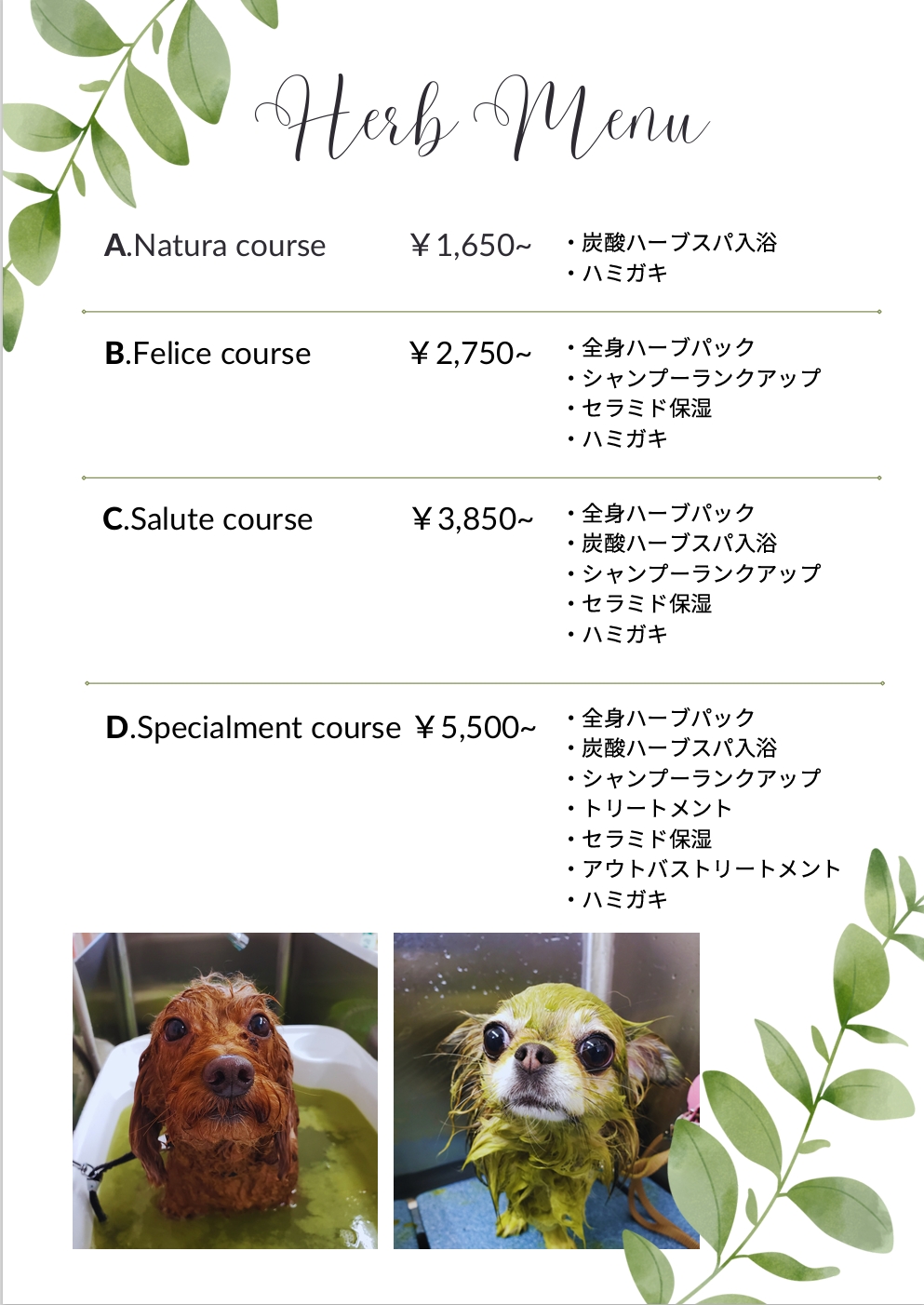 ハーブパック