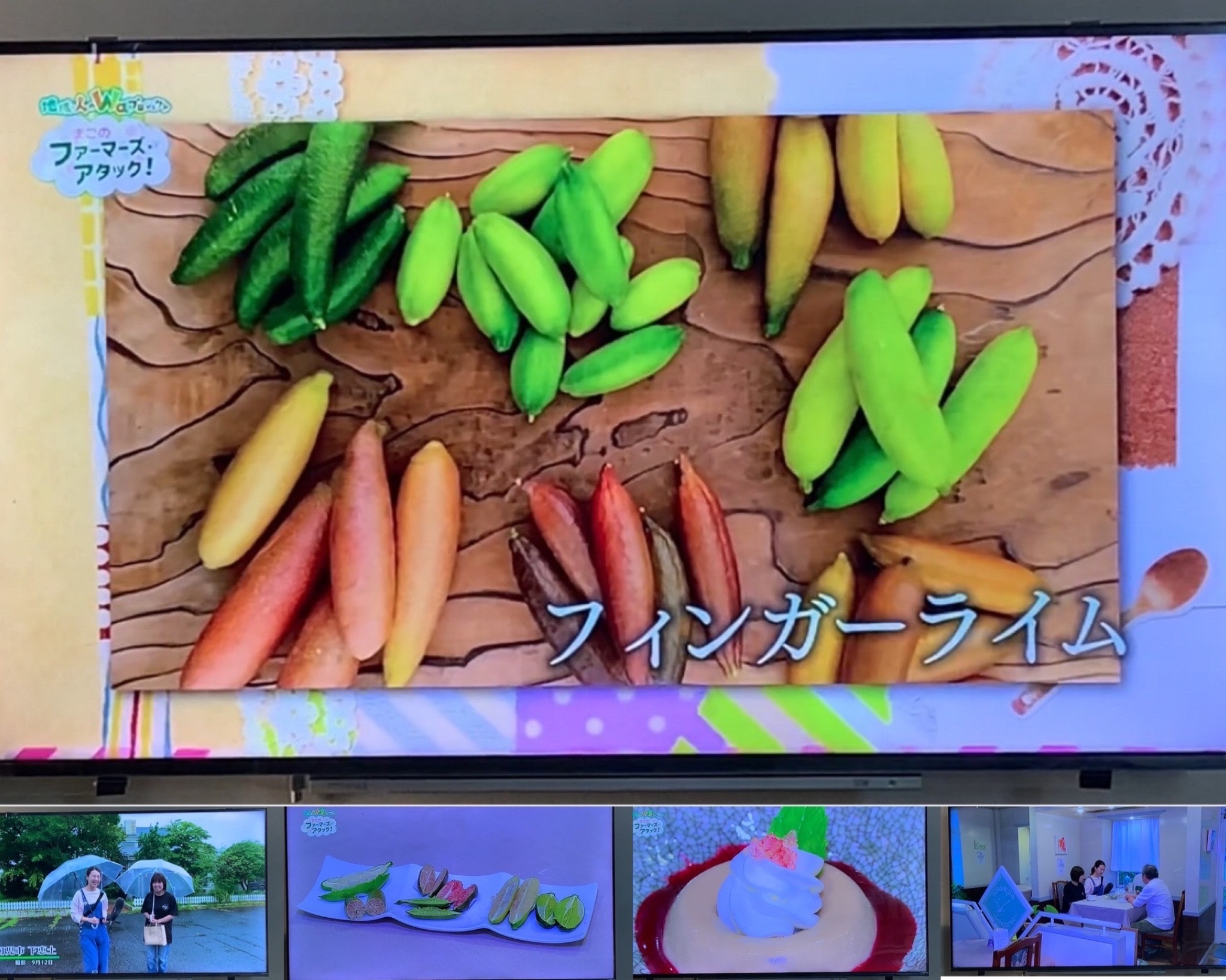 ケーブルテレビ放送