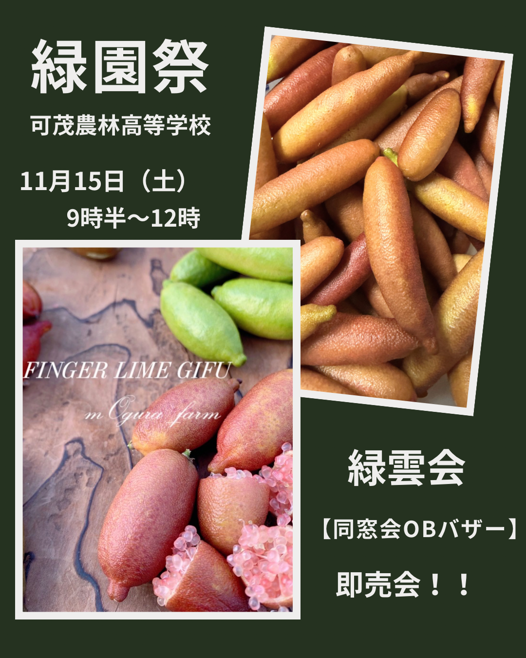 緑園祭出店・教育連携