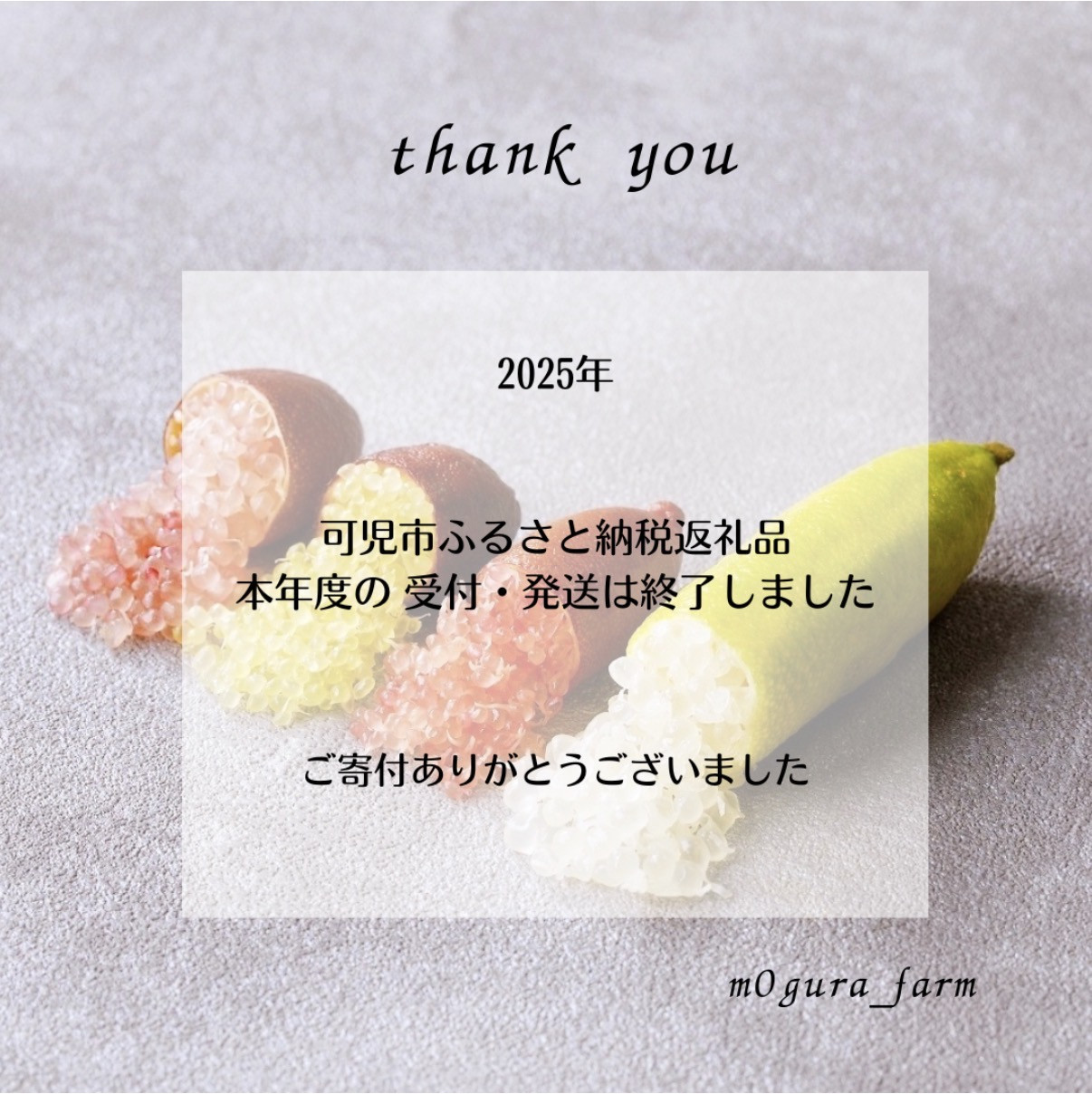 2025年ふるさと納税返品